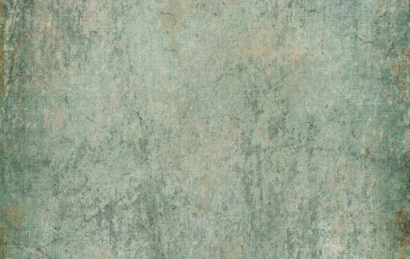 Dustin 16X10 Ultracloth ( 192 X 120 Inch ) Backdrop