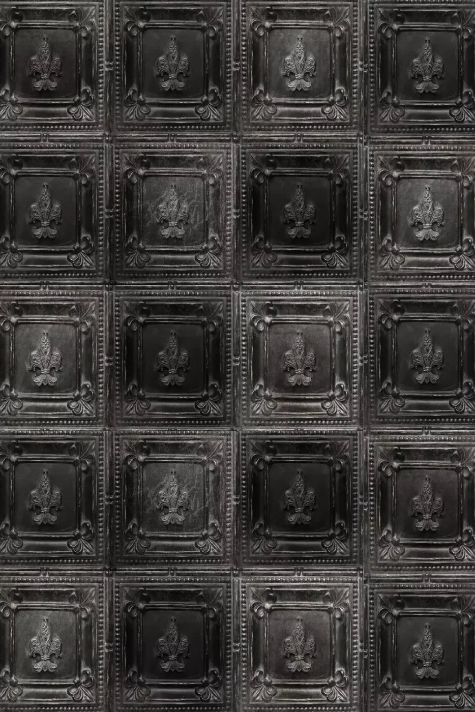 Ebony Backdrop