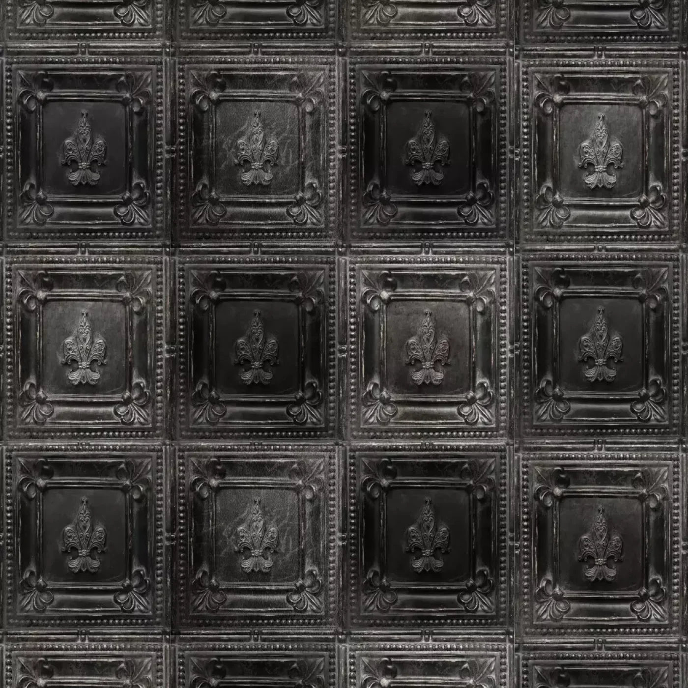 Ebony Backdrop