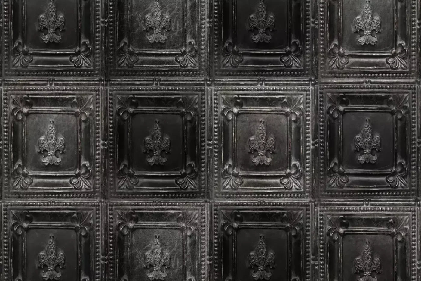 Ebony Backdrop