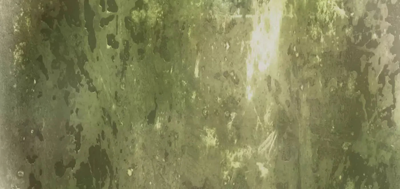 Eco 16X8 Ultracloth ( 192 X 96 Inch ) Backdrop