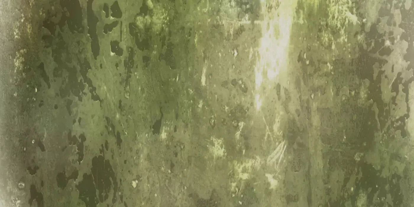 Eco 20X10 Ultracloth ( 240 X 120 Inch ) Backdrop