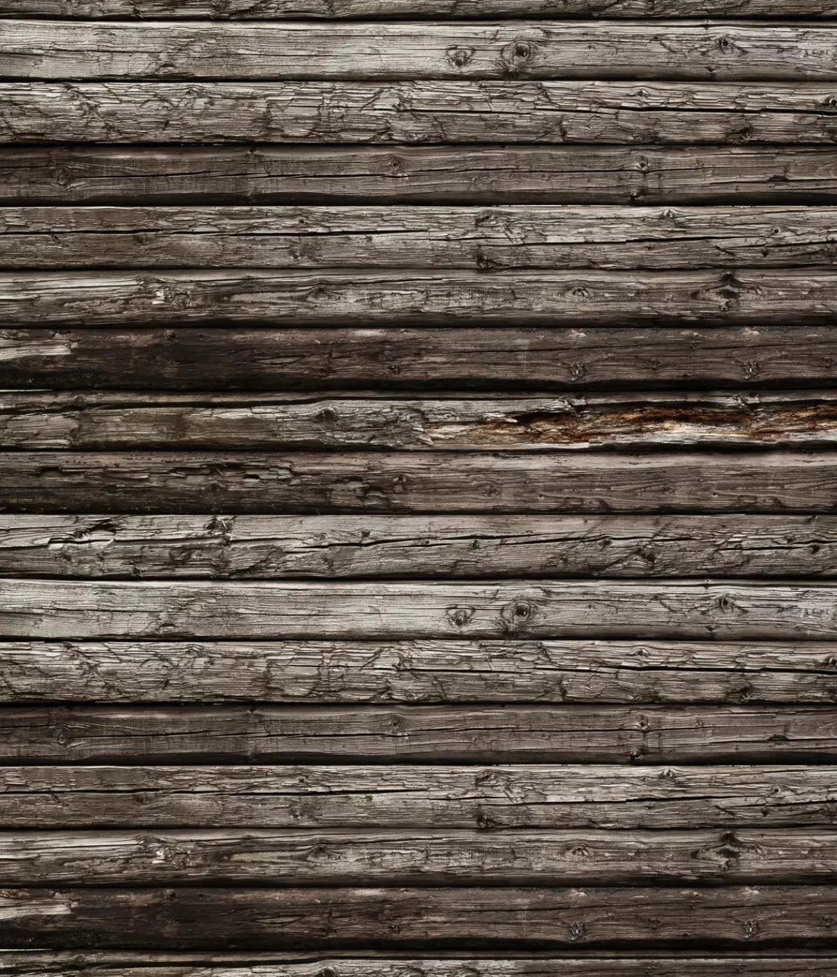 Ed 10X12 Ultracloth ( 120 X 144 Inch ) Backdrop