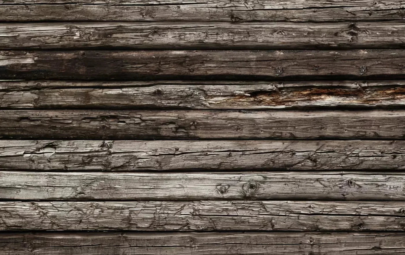 Ed 16X10 Ultracloth ( 192 X 120 Inch ) Backdrop