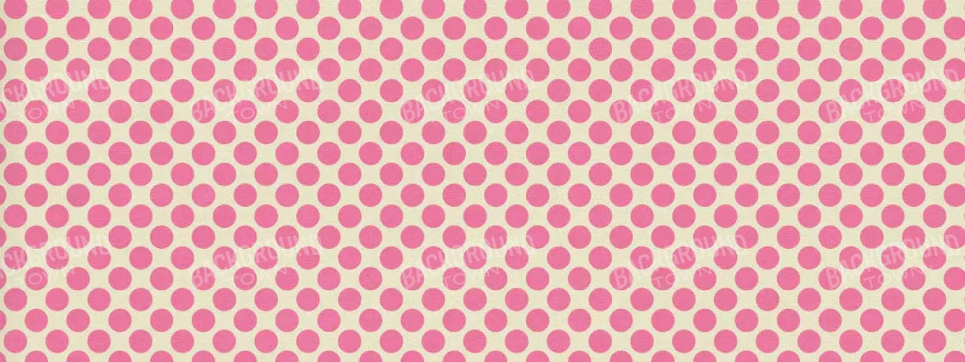 Edina 20X8 Ultracloth ( 240 X 96 Inch ) Backdrop