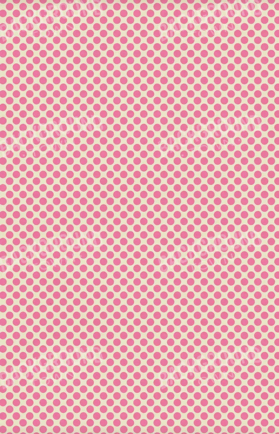 Edina 8X12 Ultracloth ( 96 X 144 Inch ) Backdrop