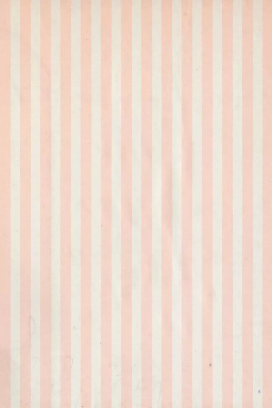 Edita Backdrop