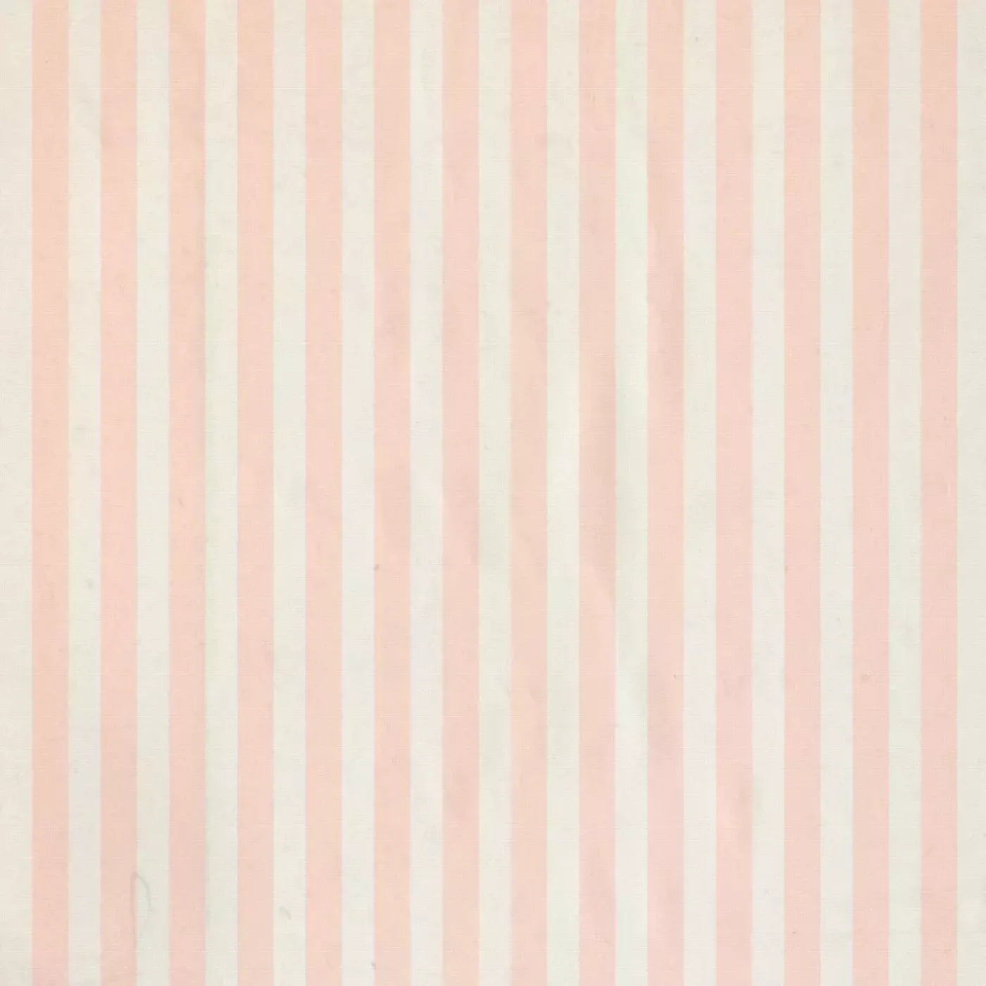 Edita Backdrop