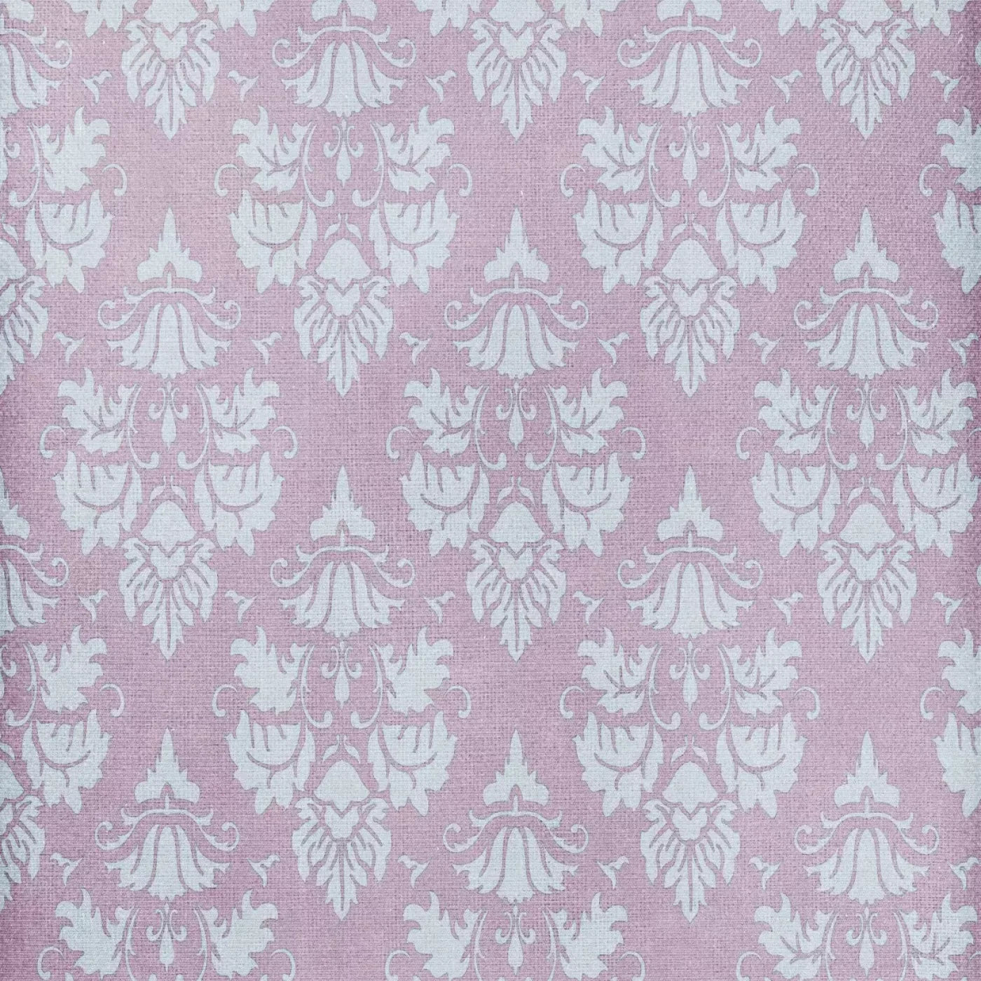 Edna Backdrop