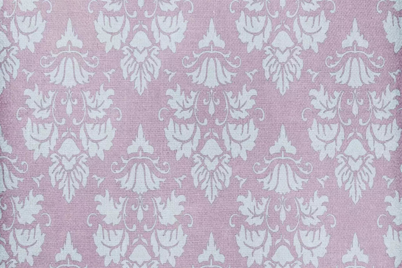 Edna Backdrop