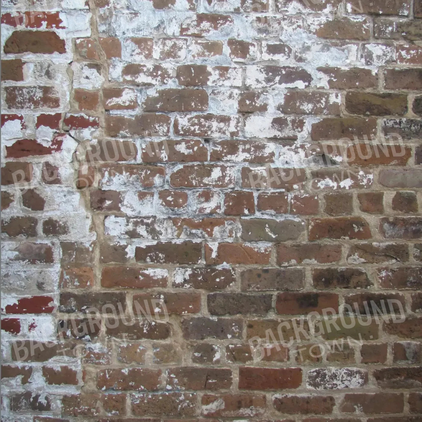 Egress 10X10 Ultracloth ( 120 X Inch ) Backdrop