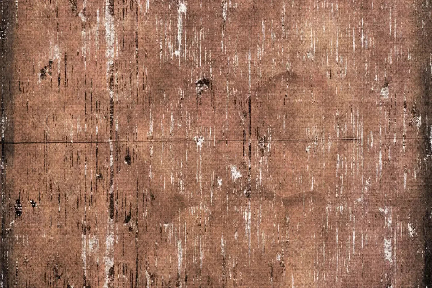 Elaine Backdrop