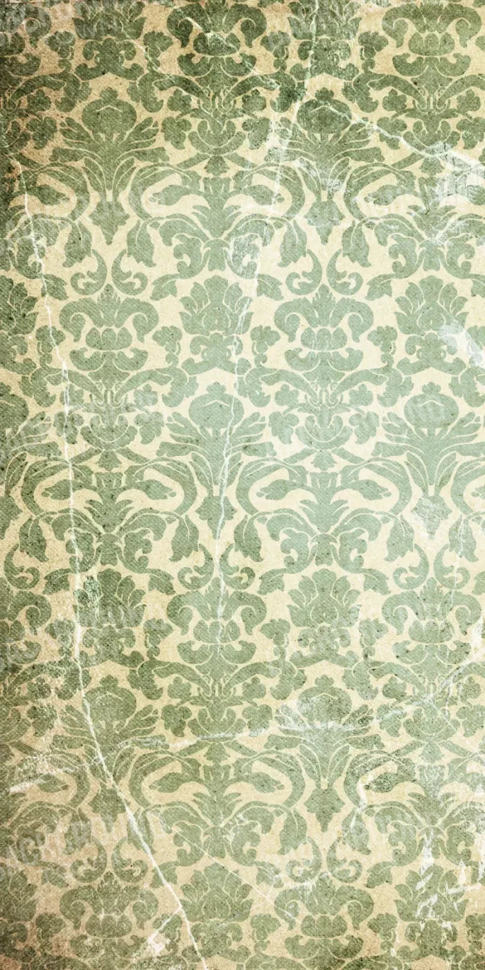 Elegant 10X20 Ultracloth ( 120 X 240 Inch ) Backdrop