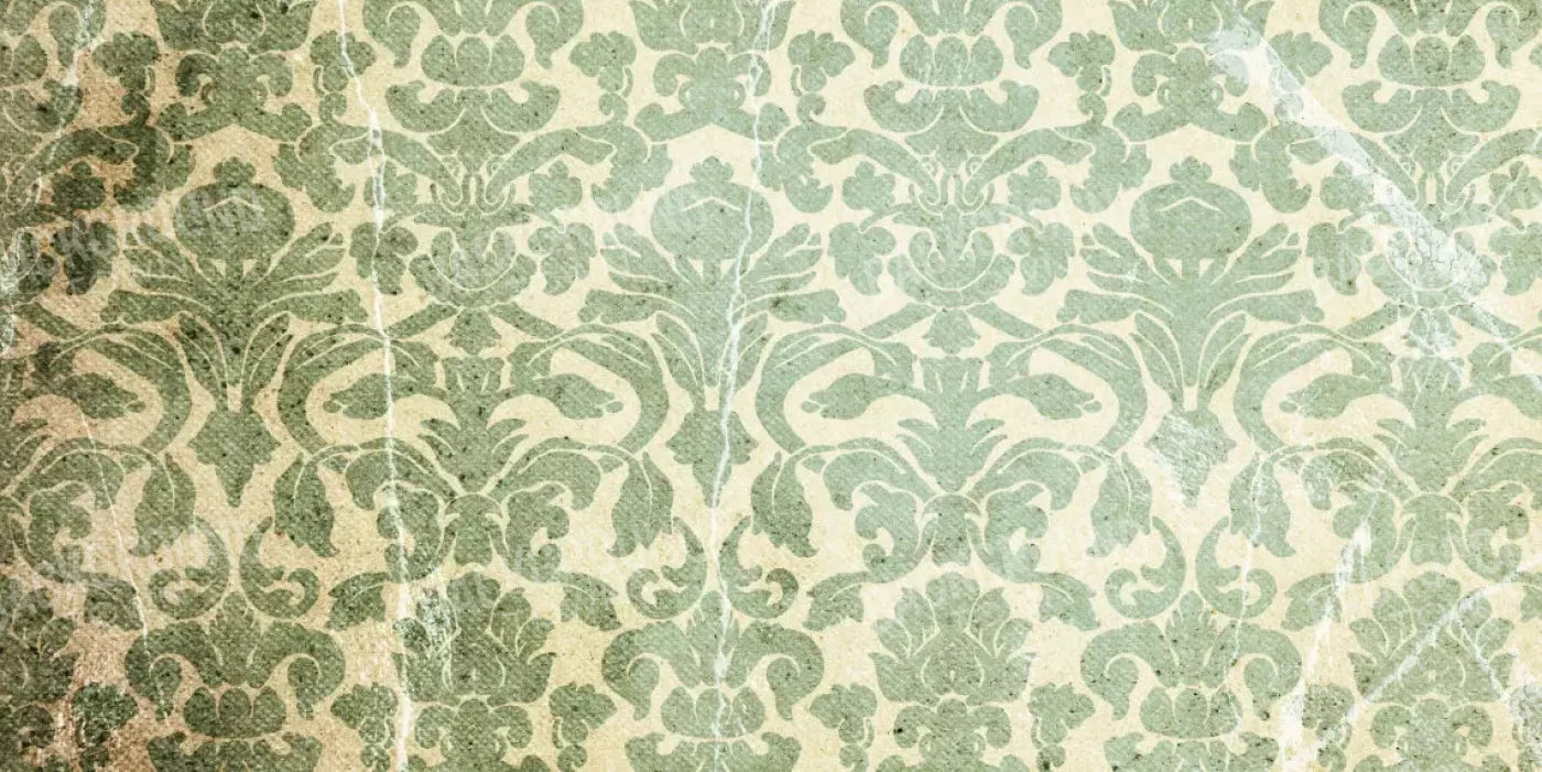 Elegant 20X10 Ultracloth ( 240 X 120 Inch ) Backdrop