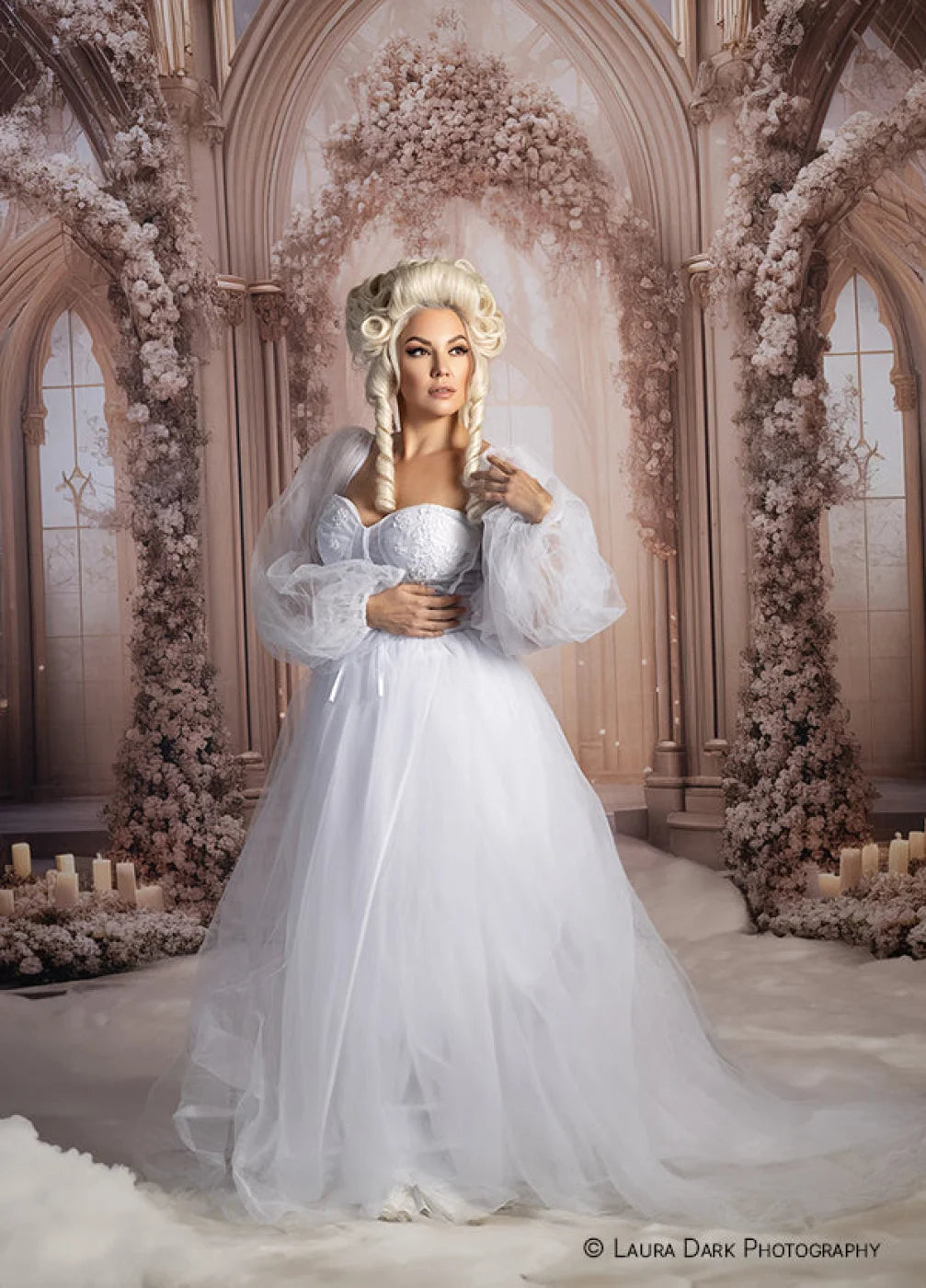 Elegant Winter Ballroom Backdrop