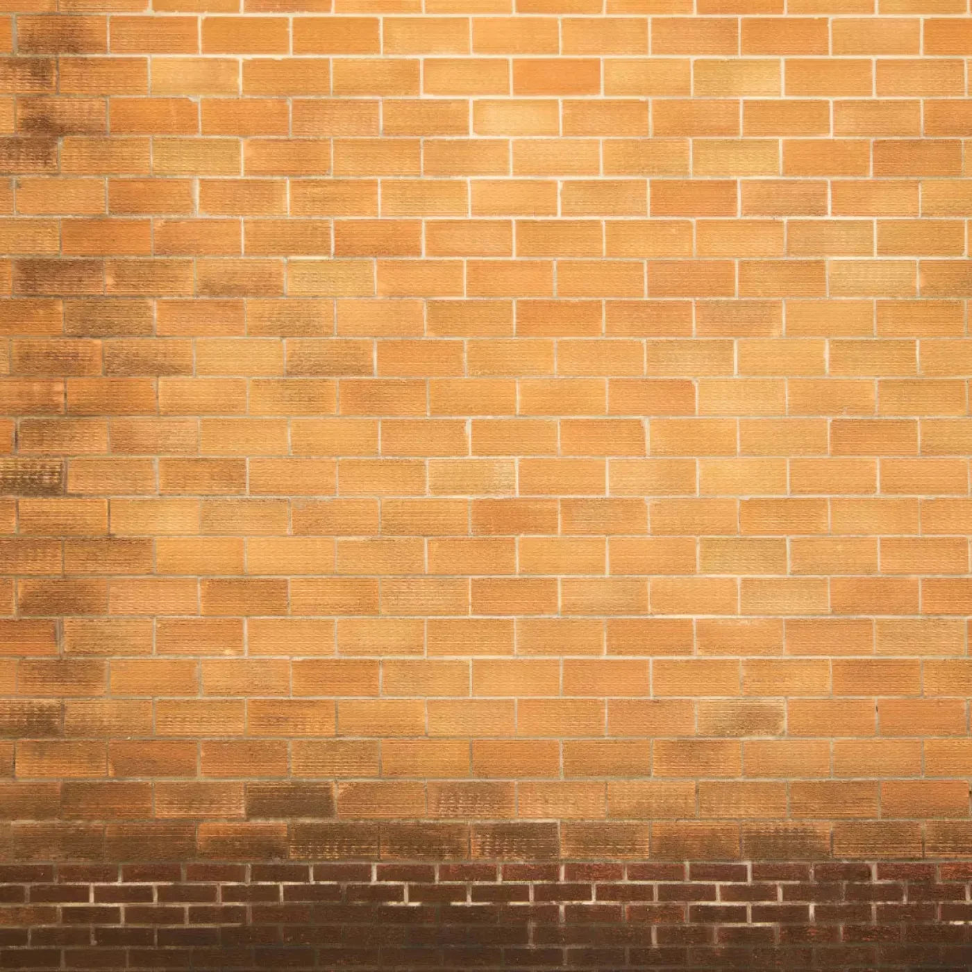 Elison 5X5 Rubbermat Floor ( 60 X Inch ) Backdrop