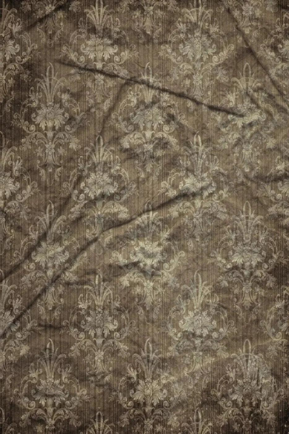 Elizabeth Backdrop