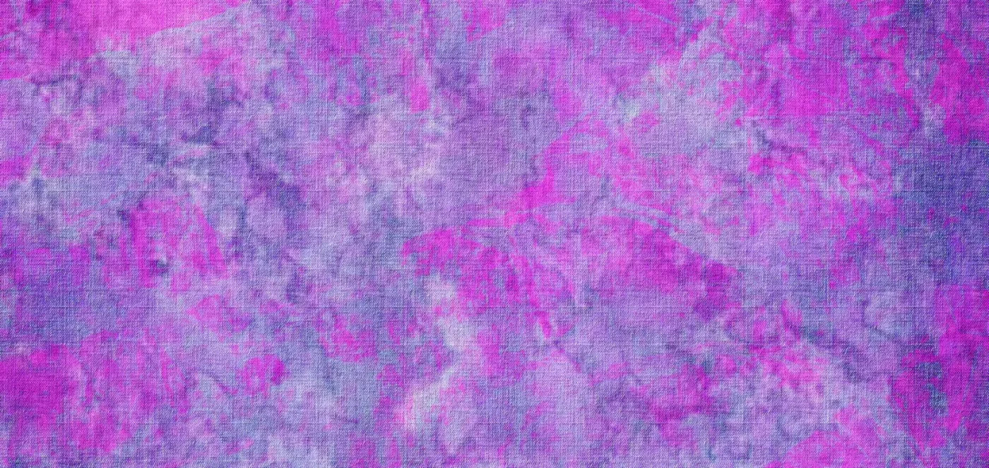 Elsie 16X8 Ultracloth ( 192 X 96 Inch ) Backdrop