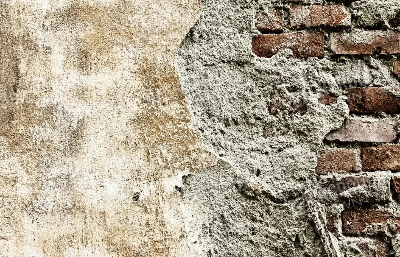 Elude 12X8 Ultracloth ( 144 X 96 Inch ) Backdrop