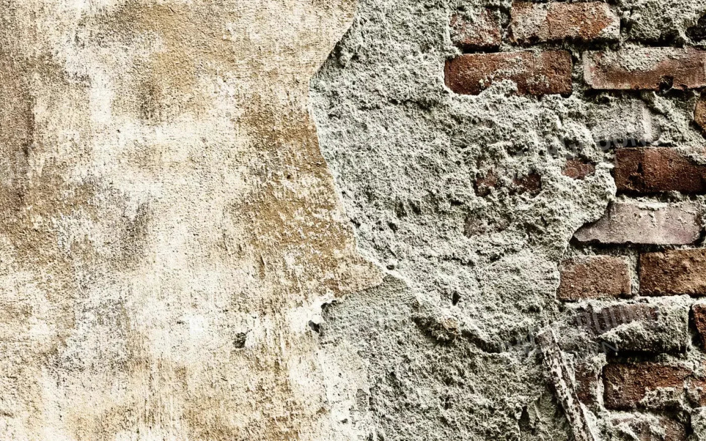 Elude 14X9 Ultracloth ( 168 X 108 Inch ) Backdrop