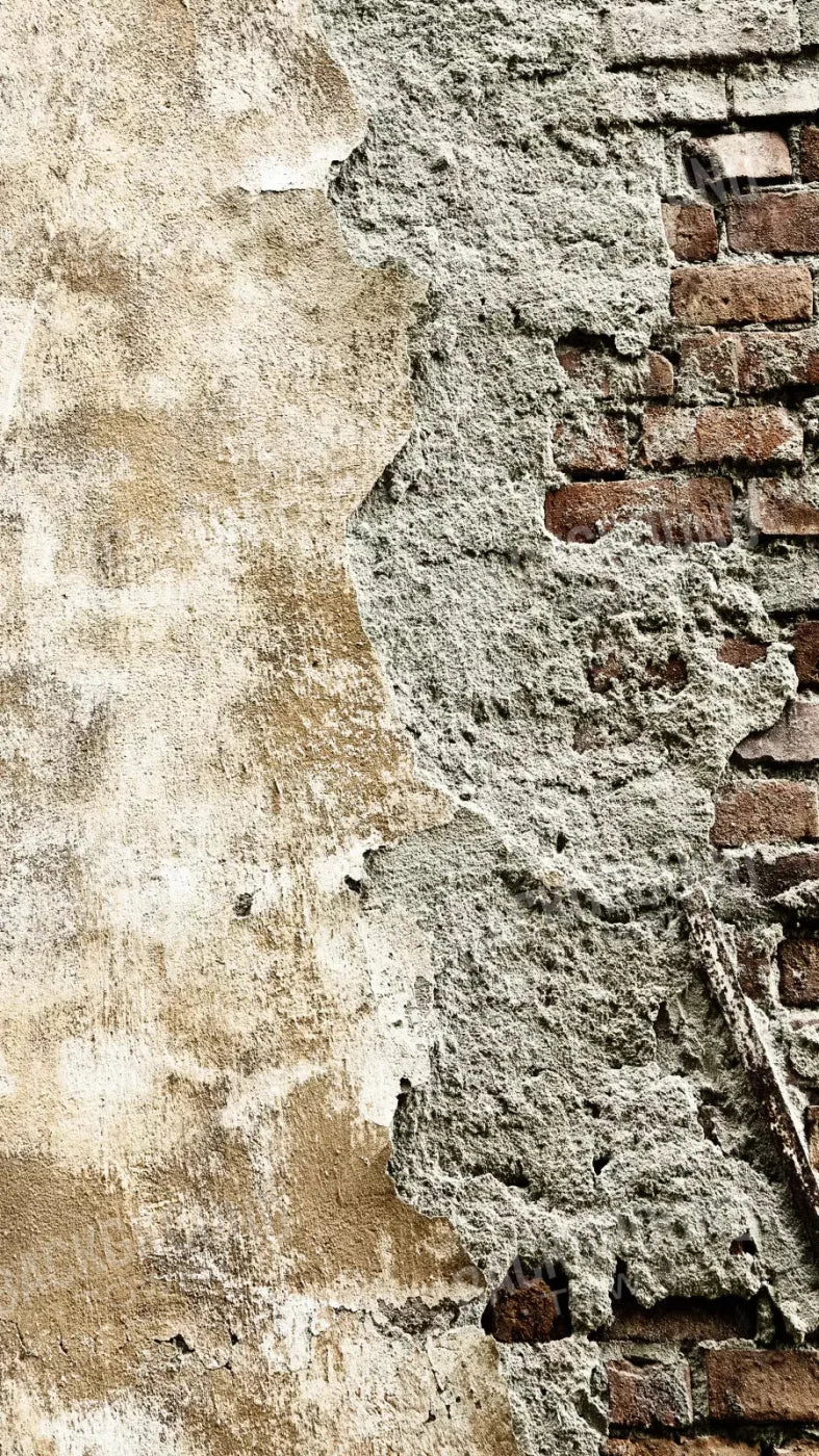 Elude 8X14 Ultracloth ( 96 X 168 Inch ) Backdrop