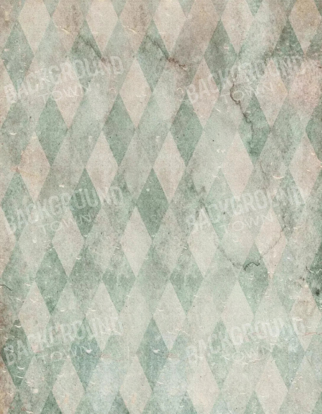 Emerald City 6X8 Fleece ( 72 X 96 Inch ) Backdrop