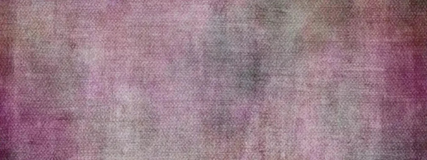 Emma Jean 20X8 Ultracloth ( 240 X 96 Inch ) Backdrop