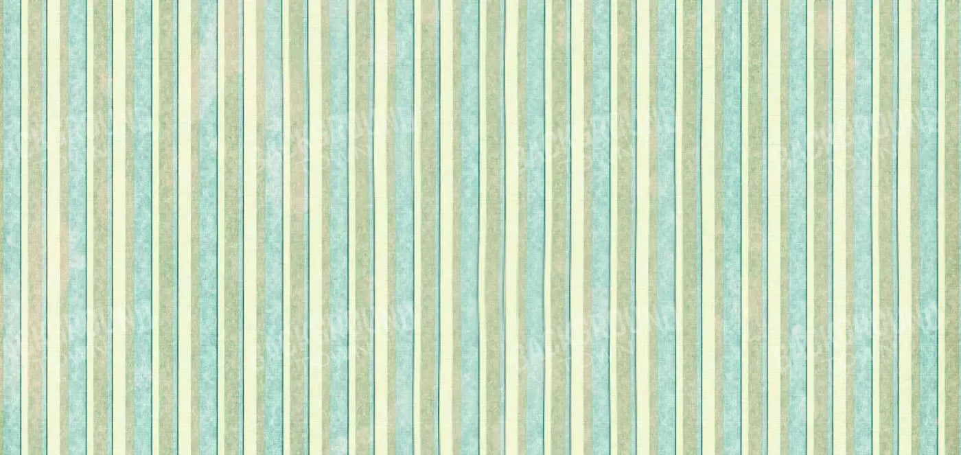 Emmett 16X8 Ultracloth ( 192 X 96 Inch ) Backdrop