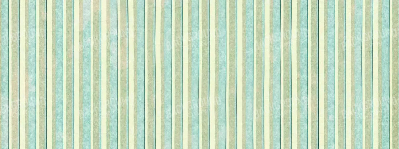 Emmett 20X8 Ultracloth ( 240 X 96 Inch ) Backdrop