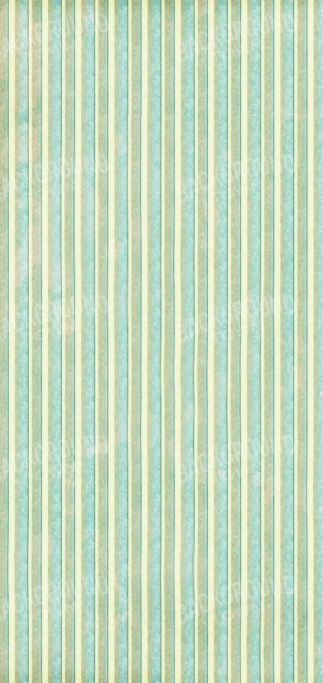 Emmett 8X16 Ultracloth ( 96 X 192 Inch ) Backdrop