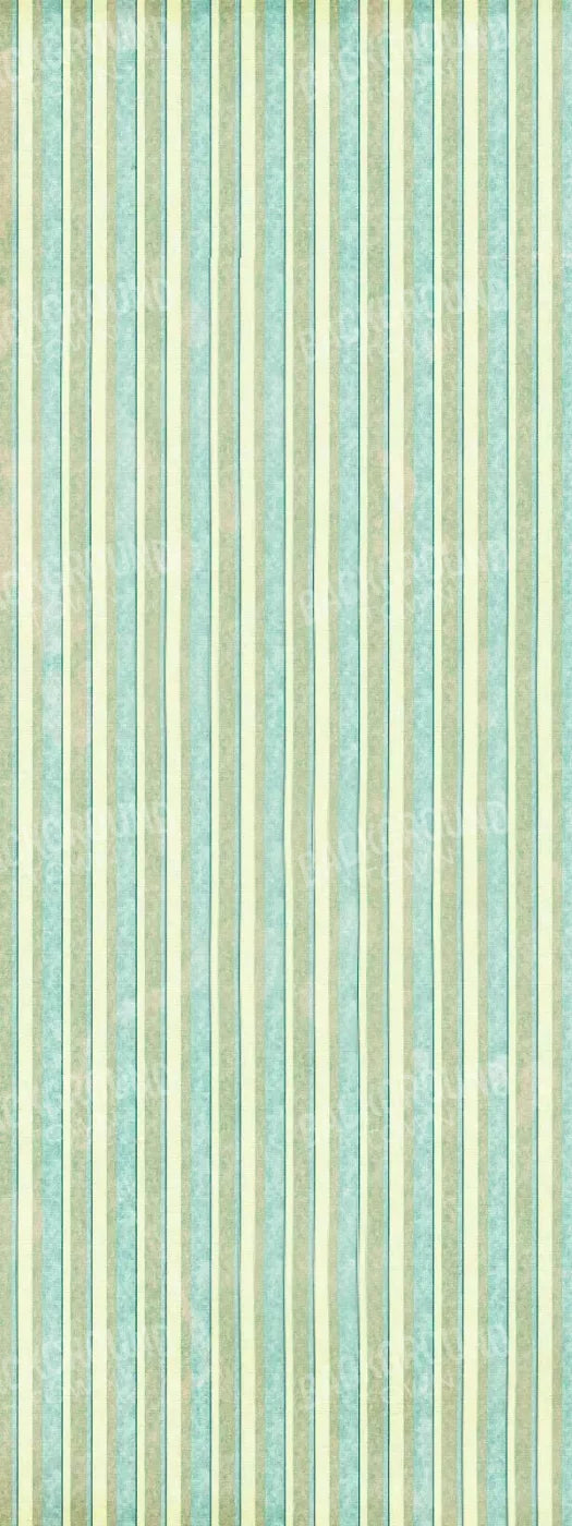 Emmett 8X20 Ultracloth ( 96 X 240 Inch ) Backdrop