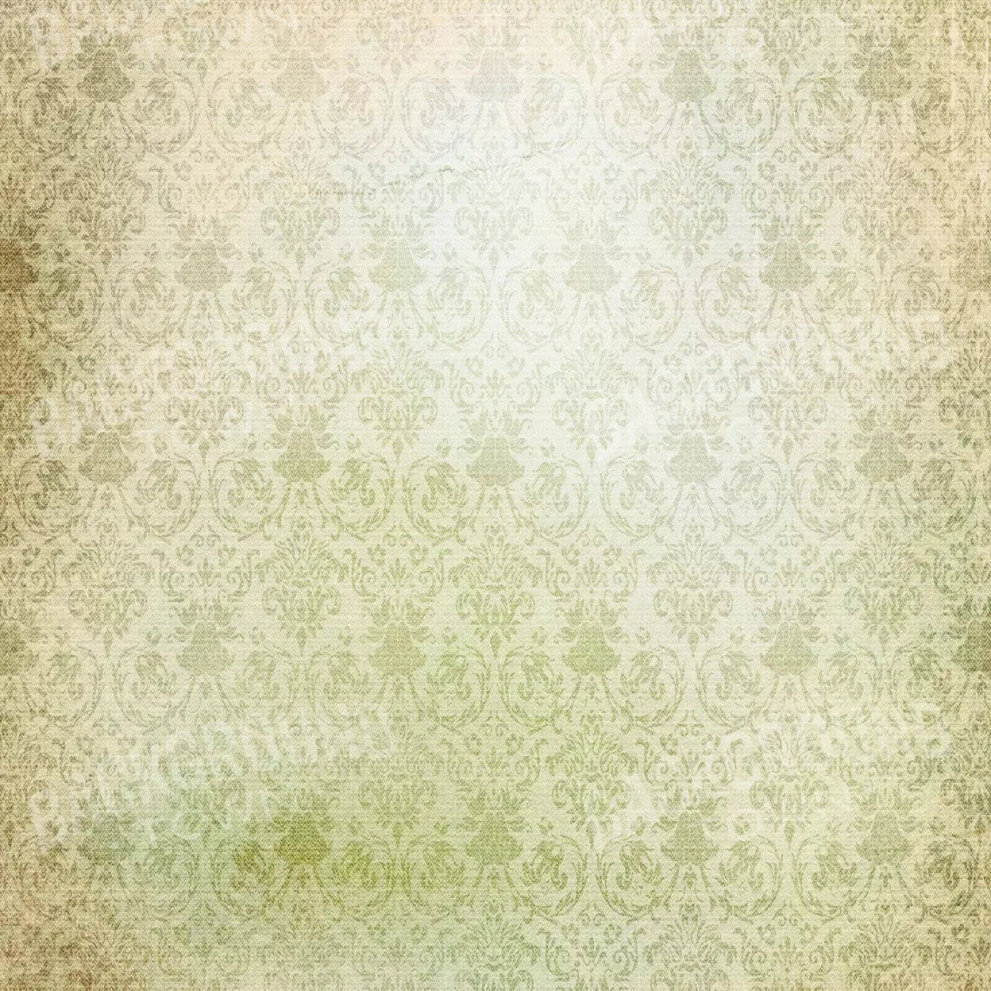 Enchanted 10X10 Ultracloth ( 120 X Inch ) Backdrop