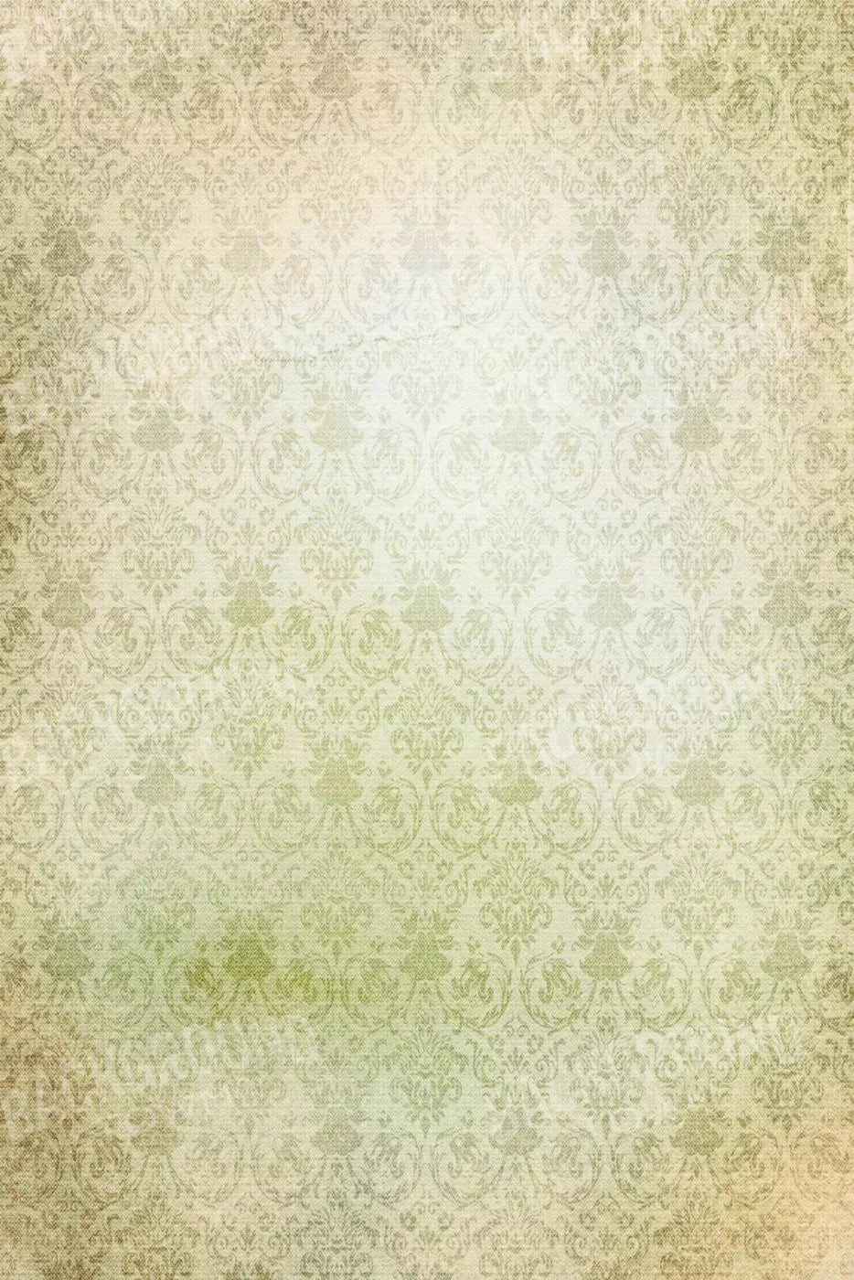 Enchanted 5X8 Ultracloth ( 60 X 96 Inch ) Backdrop