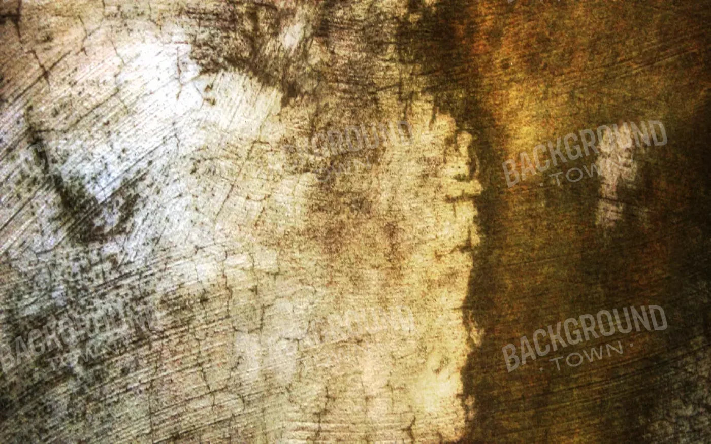 Encounter 14X9 Ultracloth ( 168 X 108 Inch ) Backdrop