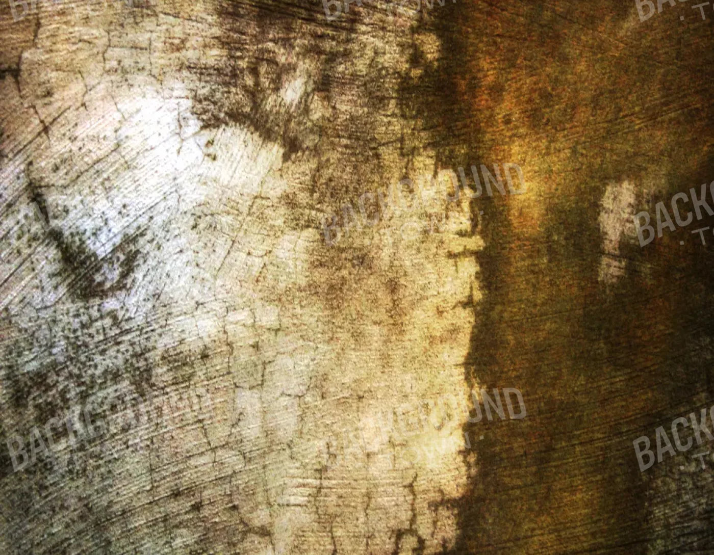Encounter 8X6 Fleece ( 96 X 72 Inch ) Backdrop