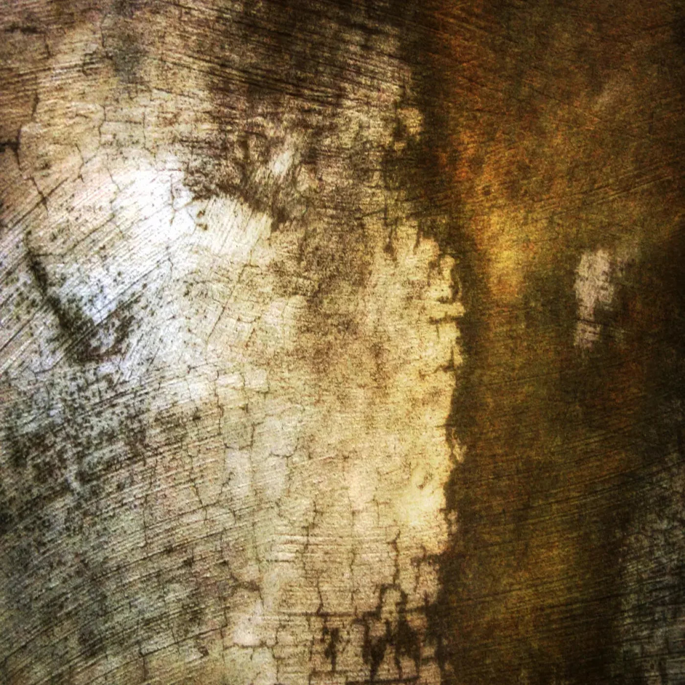 Encounter Backdrop