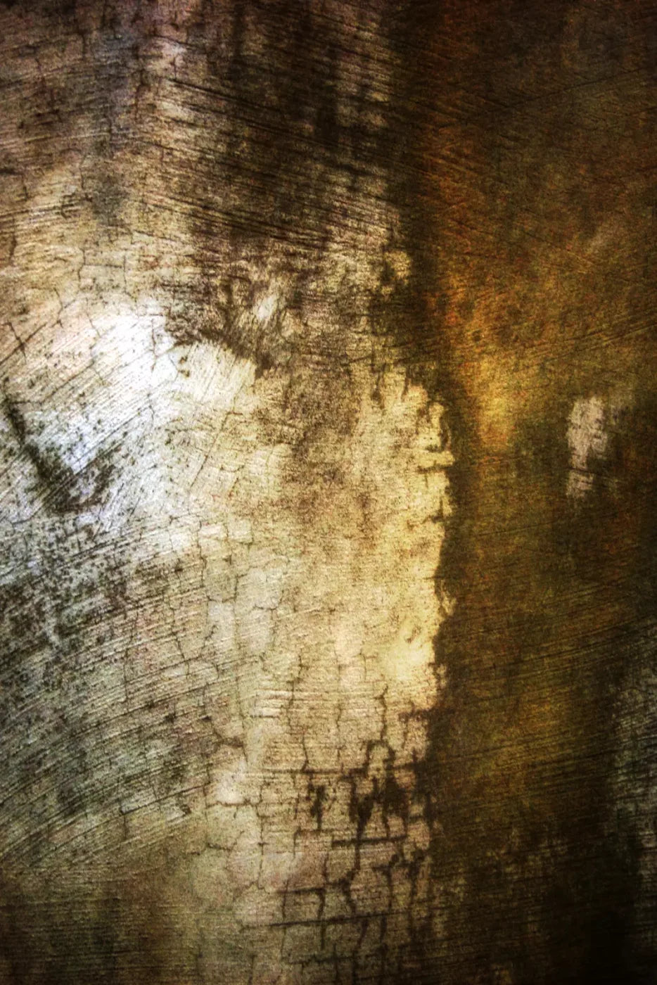 Encounter Backdrop