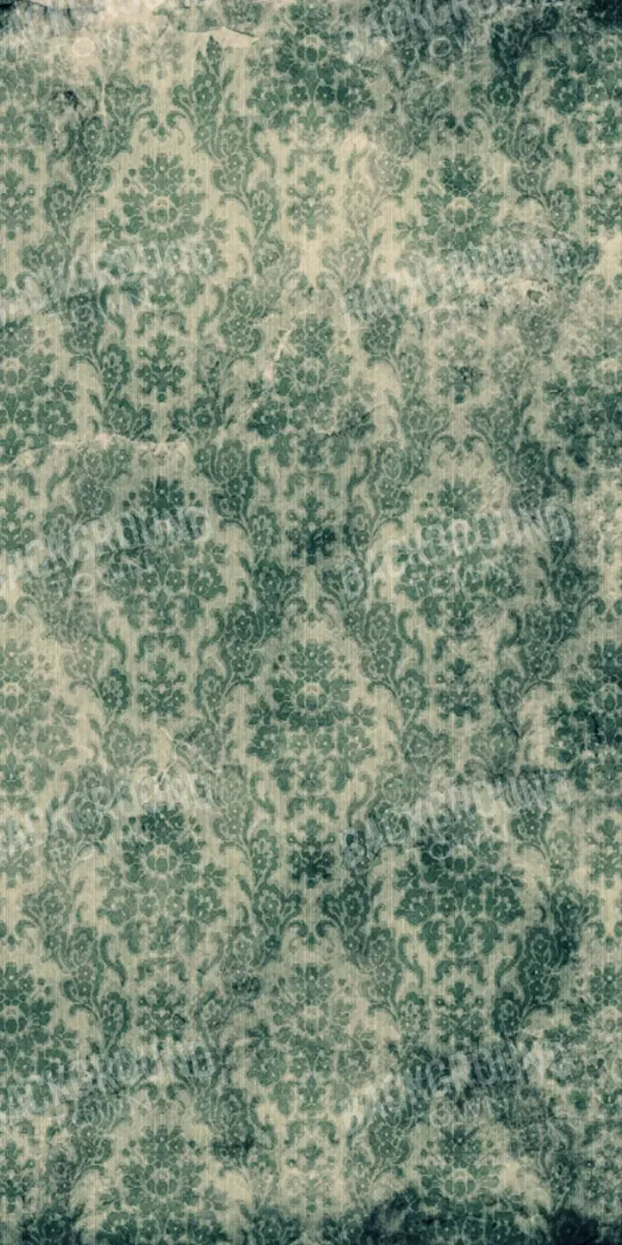 Envious 10’X20’ Ultracloth (120 X 240 Inch) Backdrop