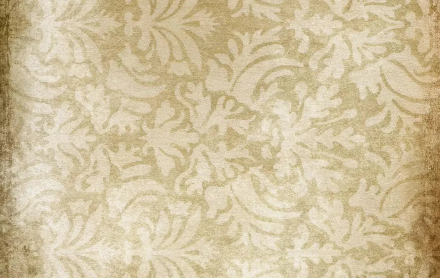 Epitome 16X10 Ultracloth ( 192 X 120 Inch ) Backdrop