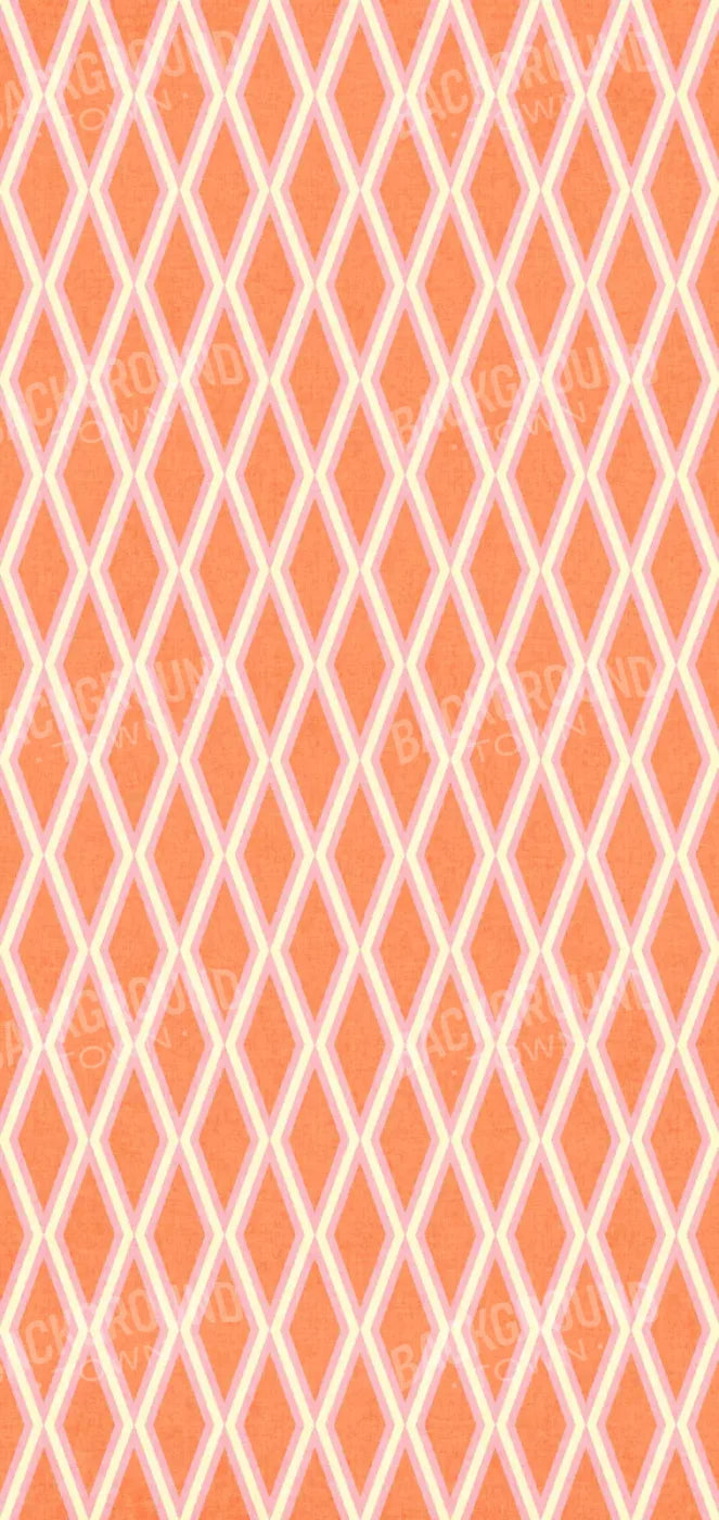 Erica 8X16 Ultracloth ( 96 X 192 Inch ) Backdrop