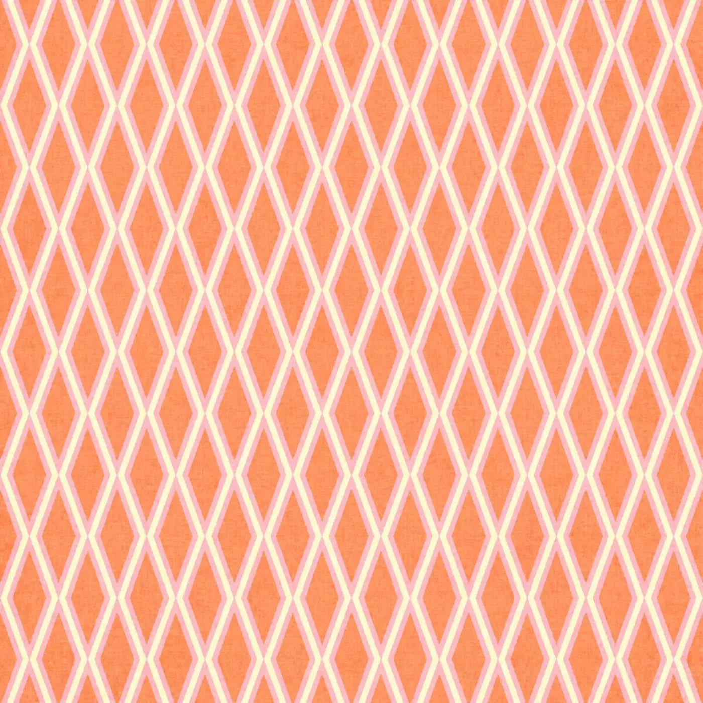 Erica Backdrop