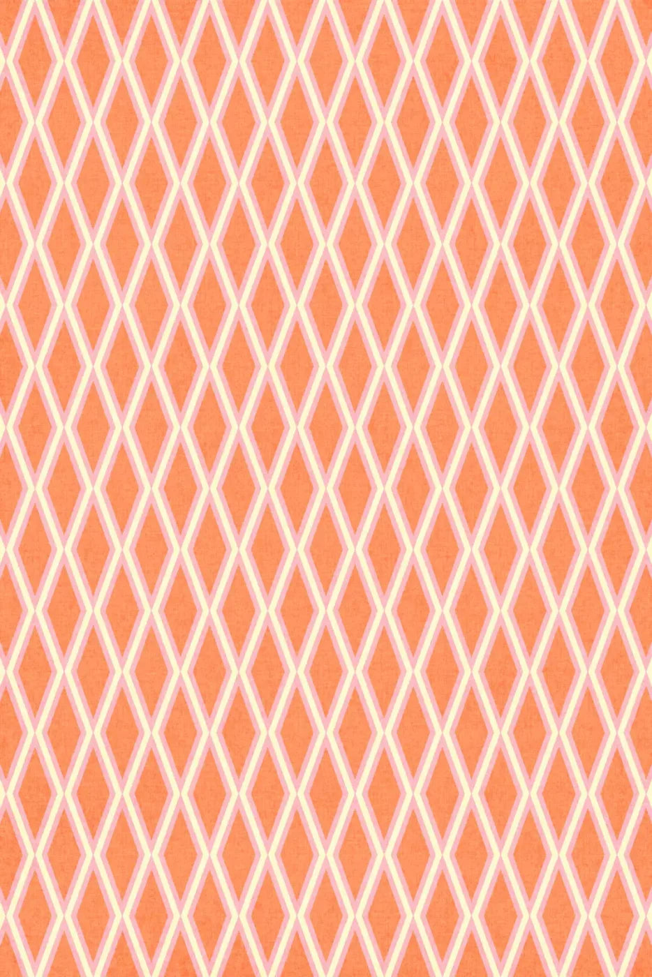 Erica Backdrop