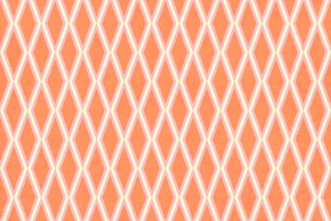 Erica Backdrop
