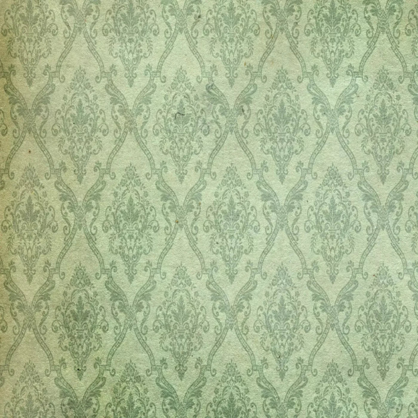 Established Backdrop