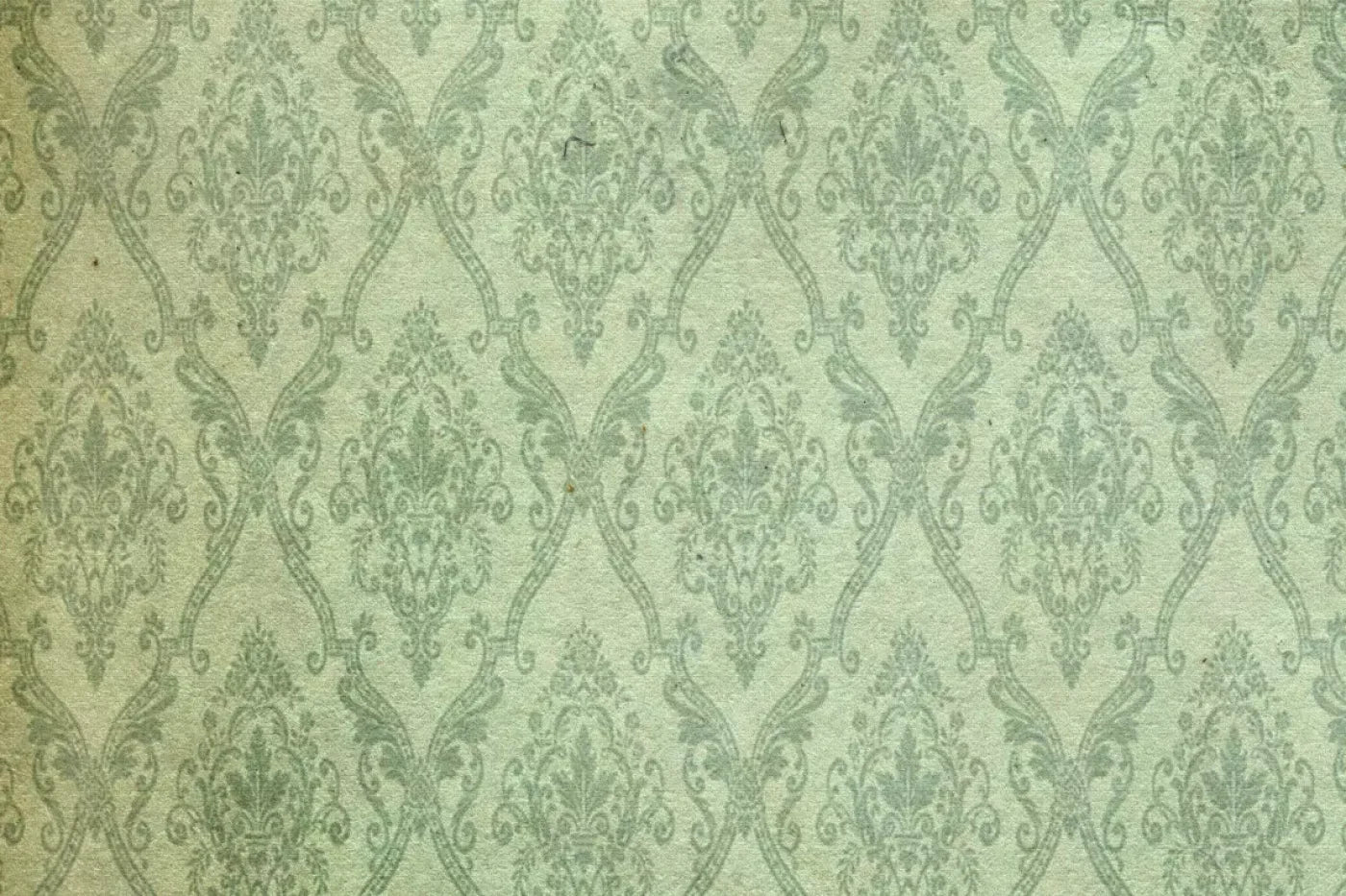 Established Backdrop