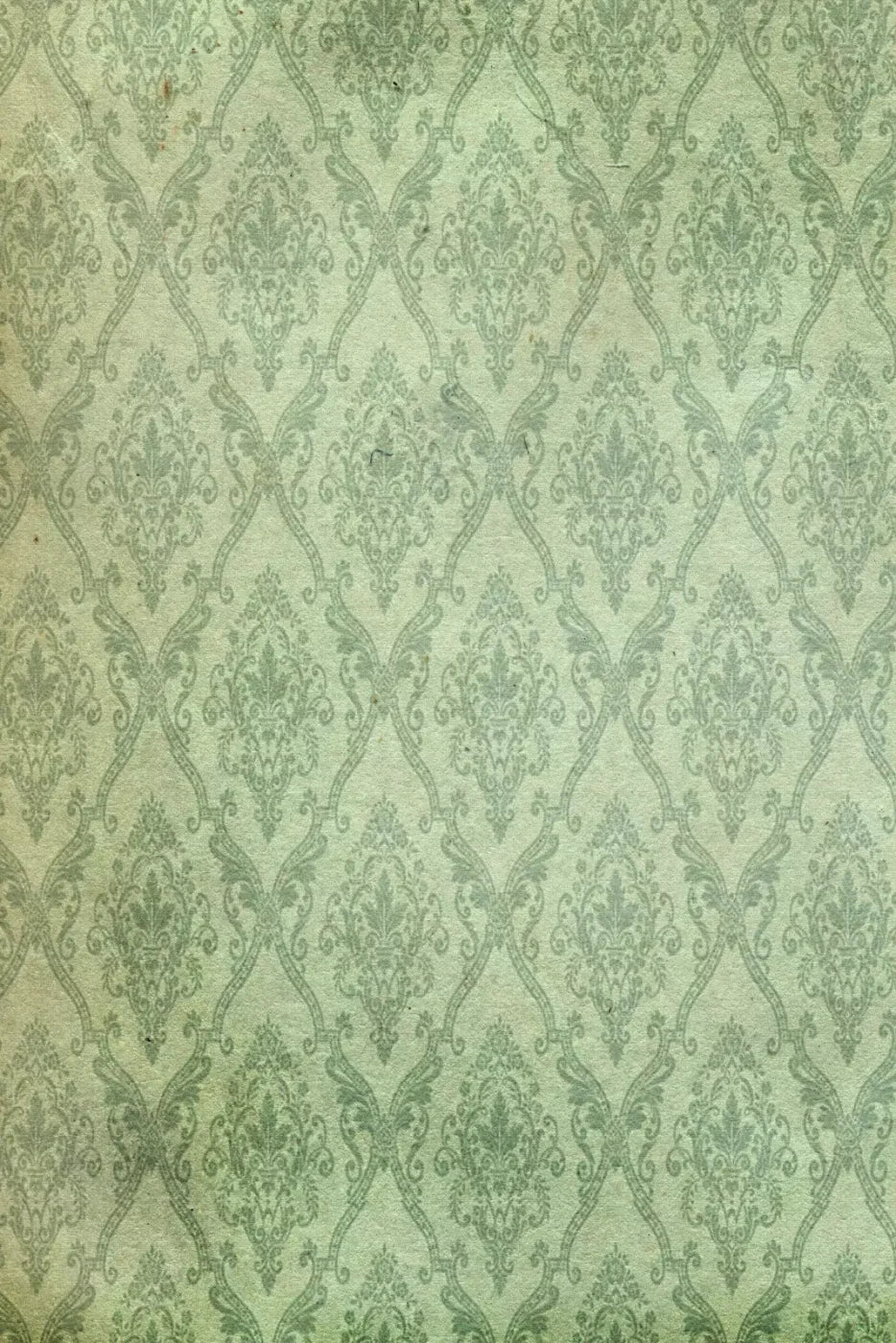 Established Backdrop