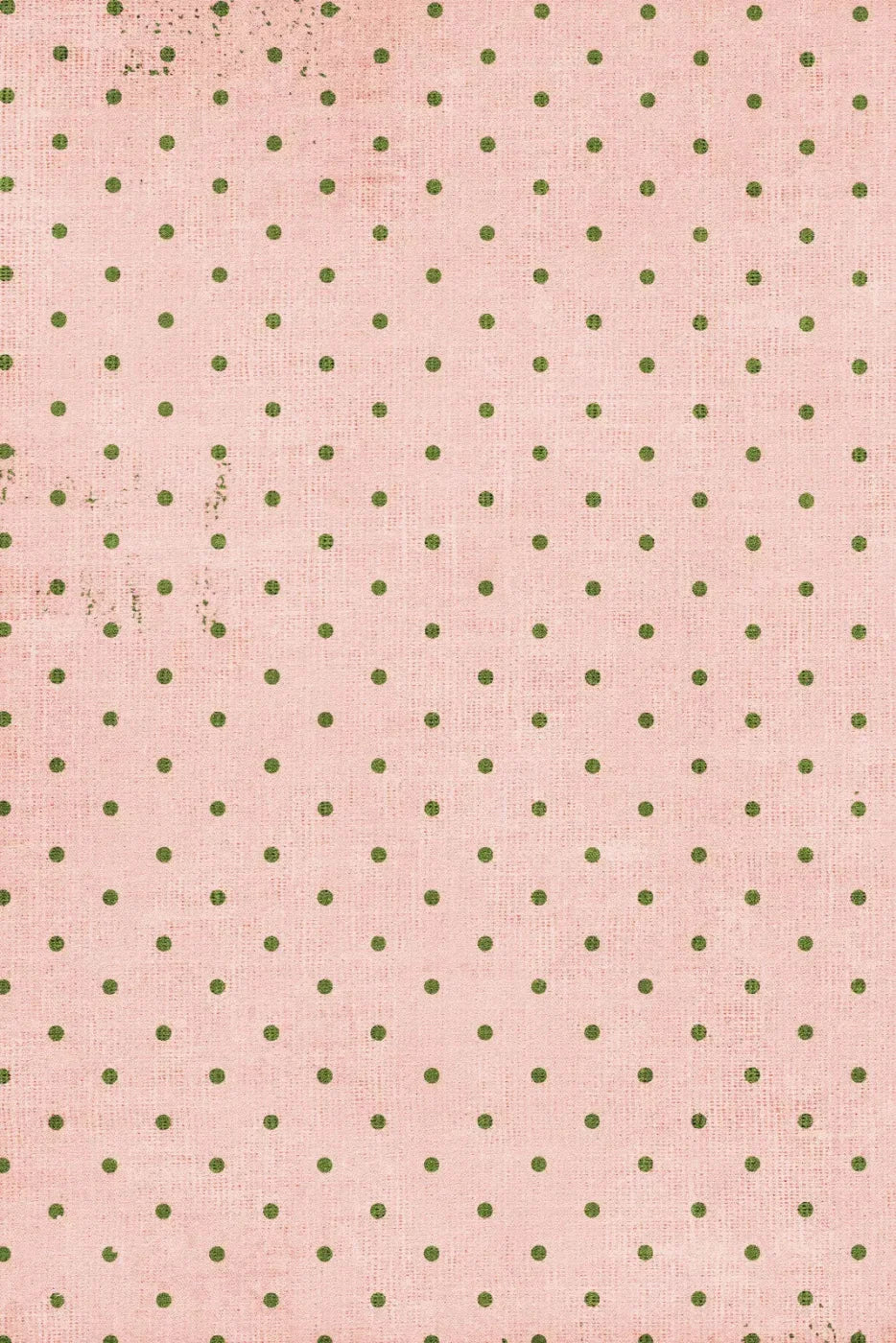Estella Backdrop