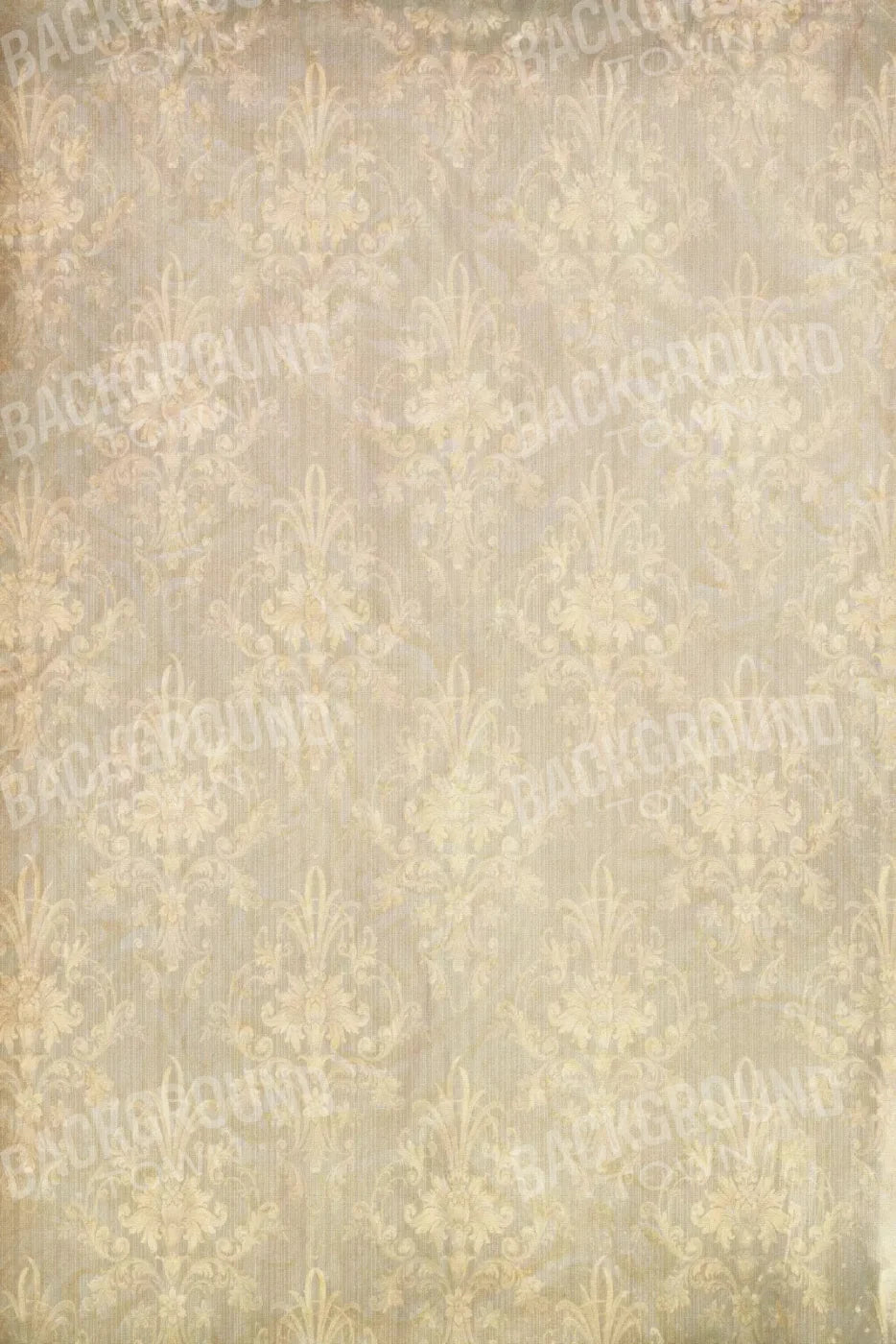 Etta 5X8 Ultracloth ( 60 X 96 Inch ) Backdrop