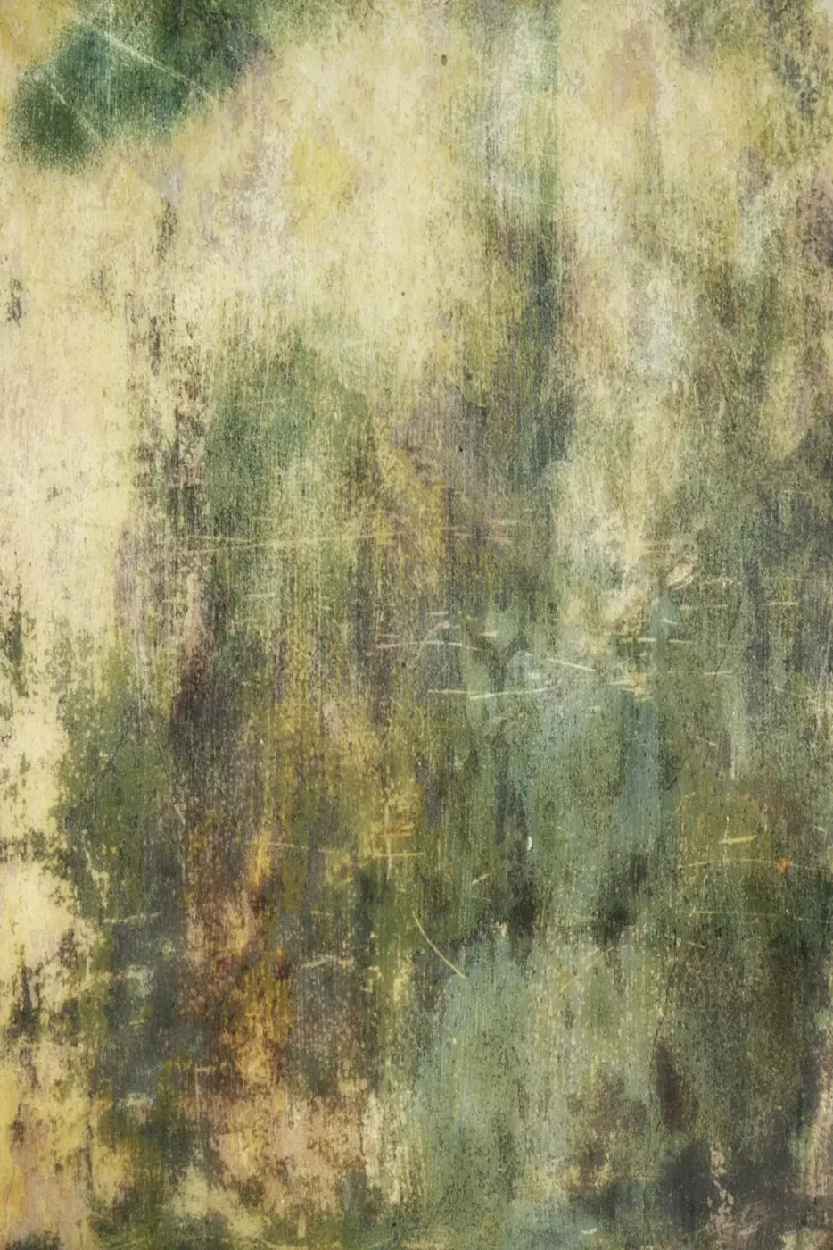 Eucalyptus Grunge Backdrop