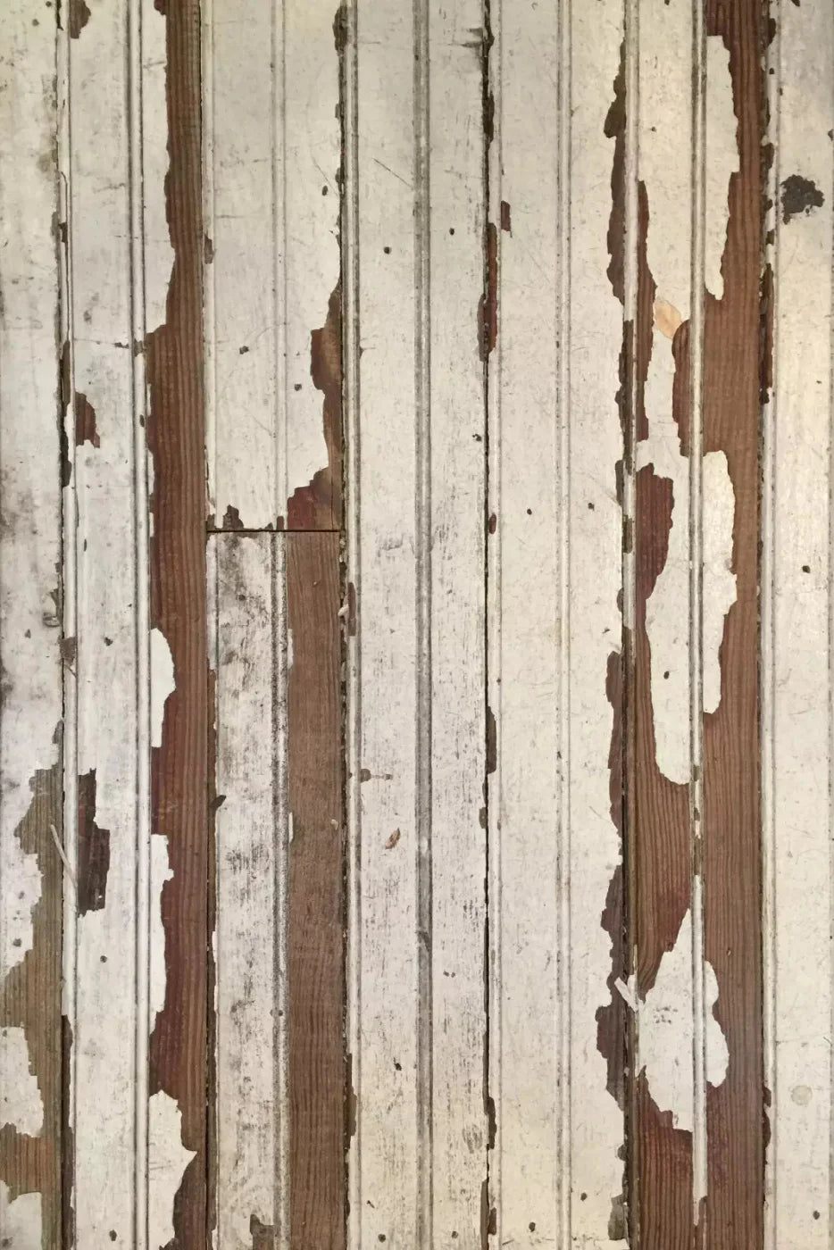 Eureka Backdrop